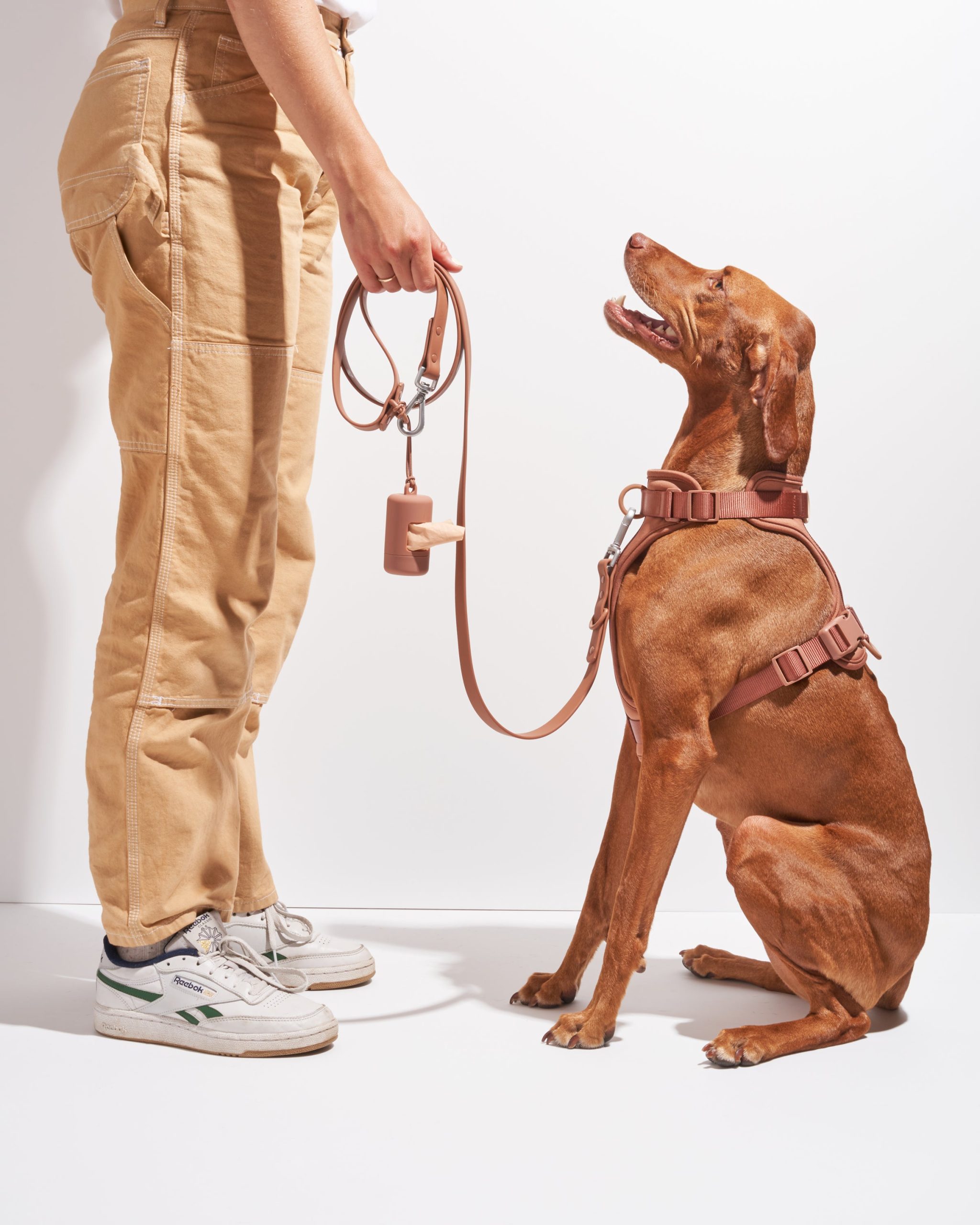 Cushioned Dog Harness - Image 25
