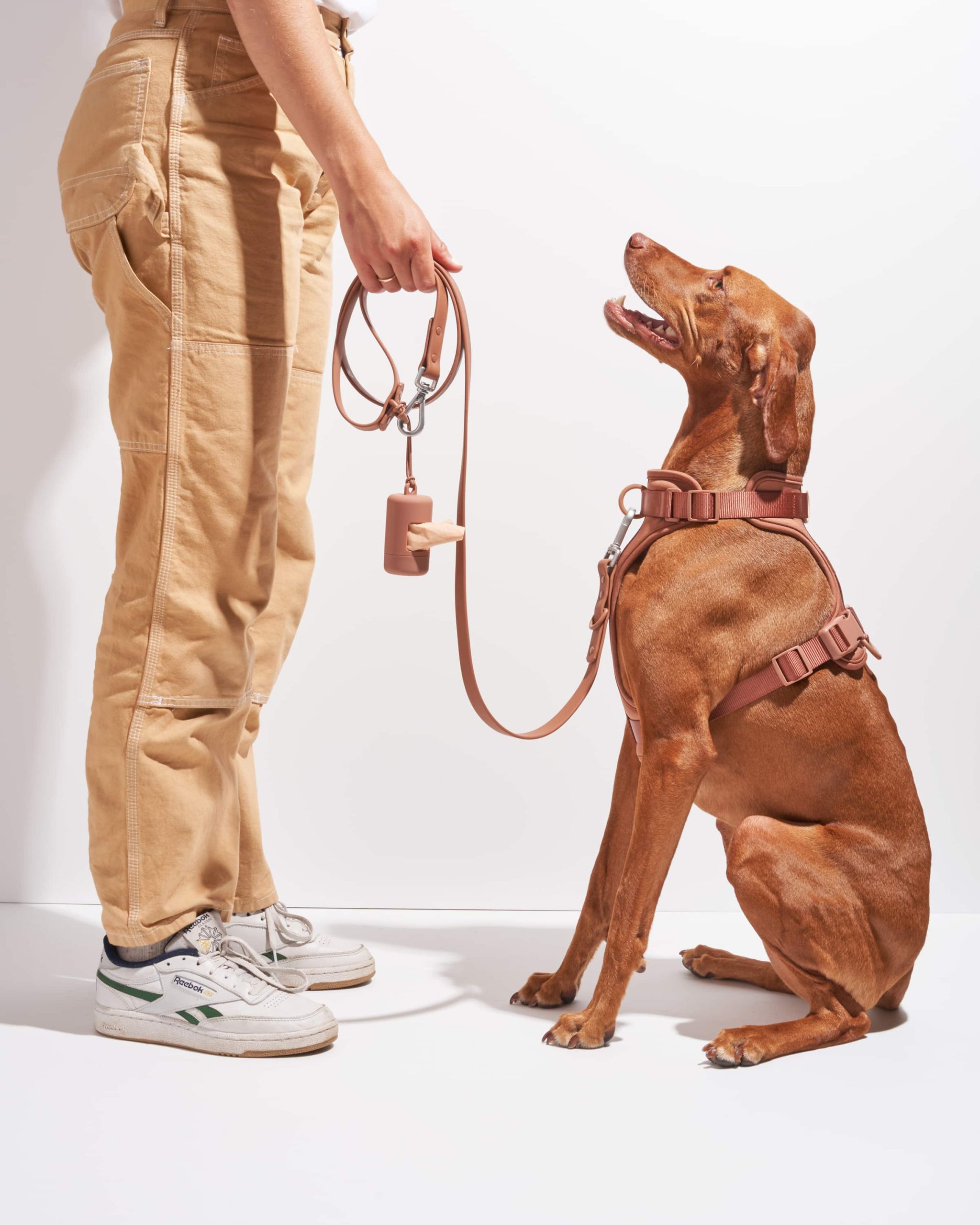 Waterproof Dog Leash - Image 14