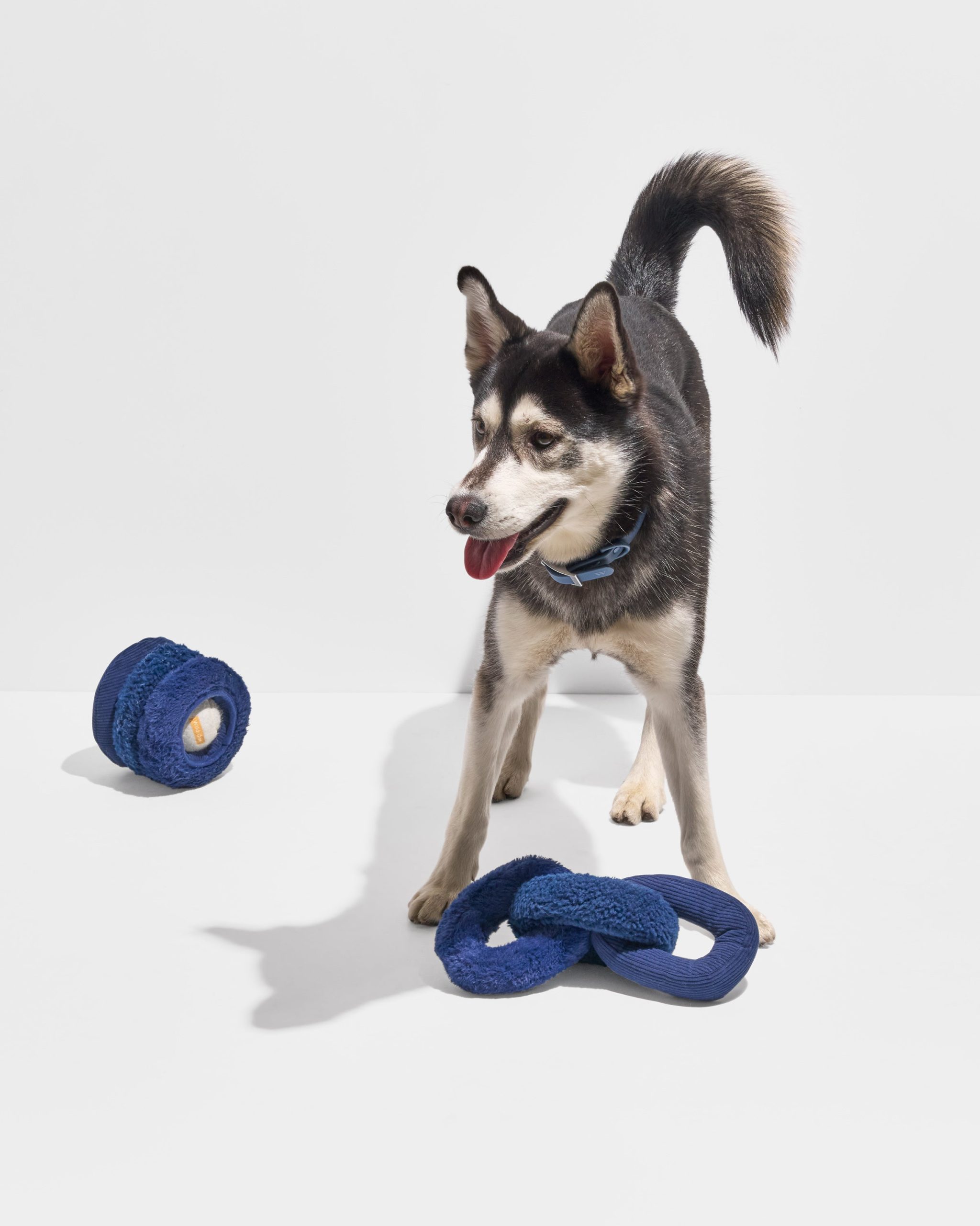 Plush Toy Kit - Image 7