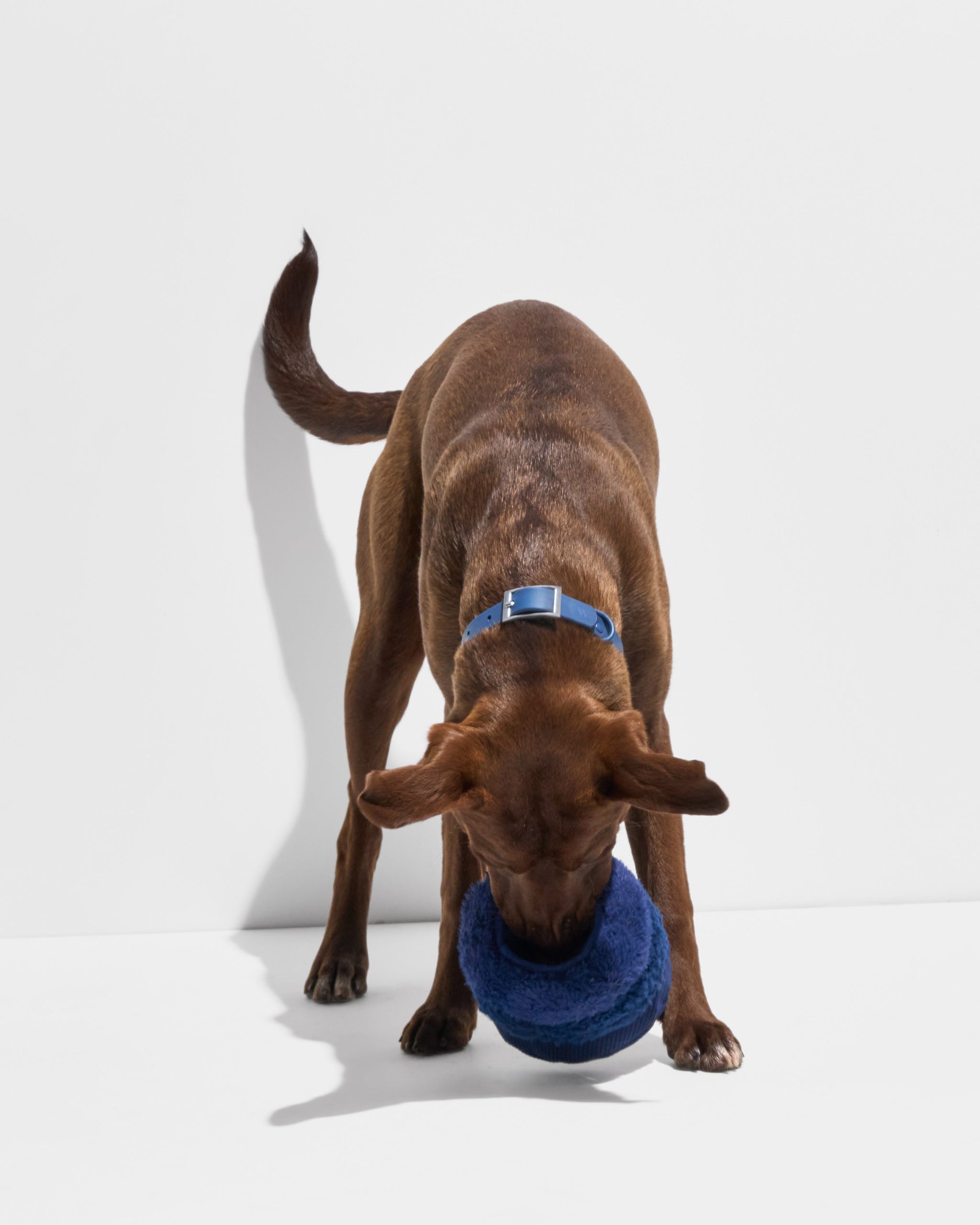 Tennis Tuft - Image 10