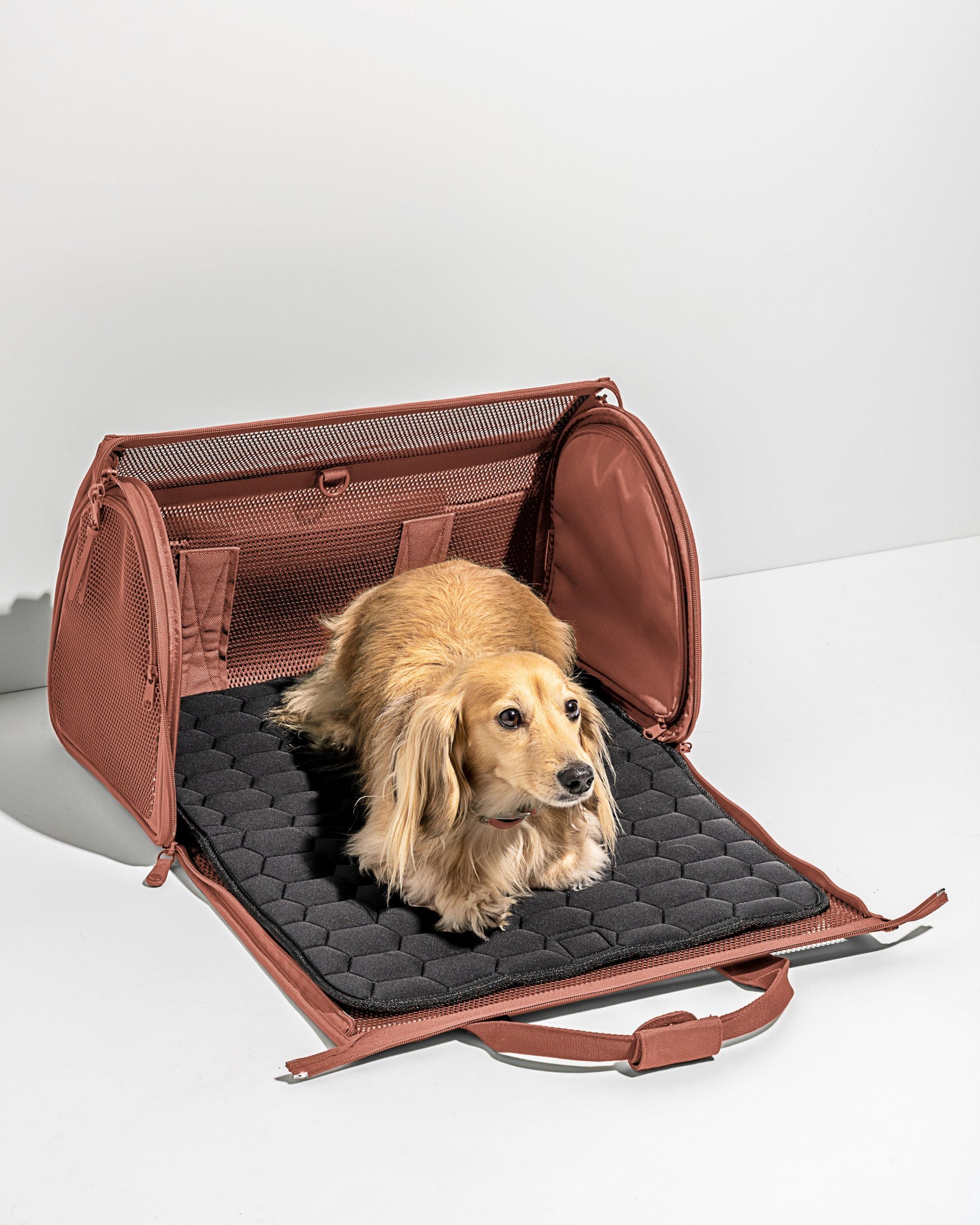 Travel Carrier - Image 15
