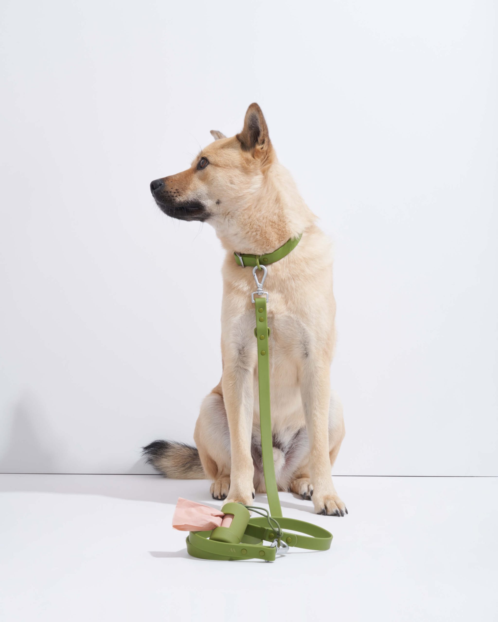Waterproof Dog Collar - Image 80