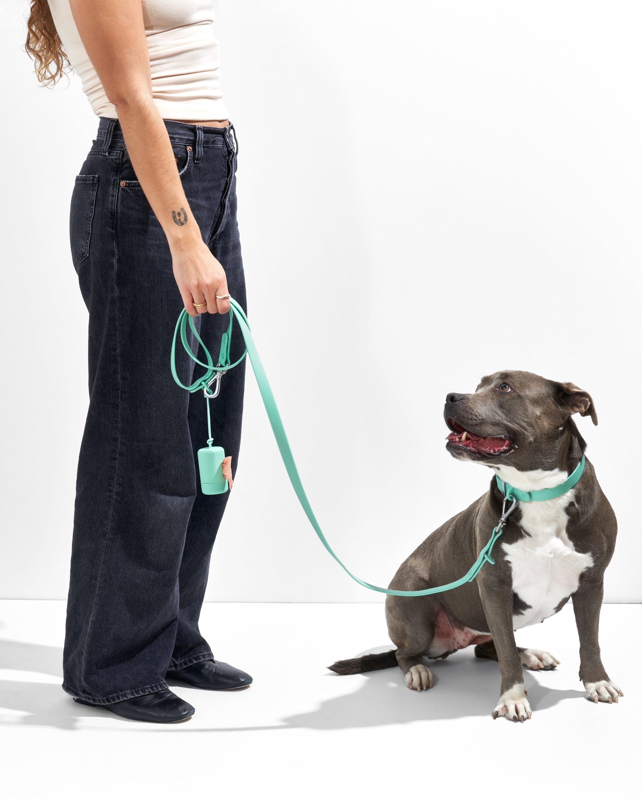 Waterproof Dog Collar - Image 14