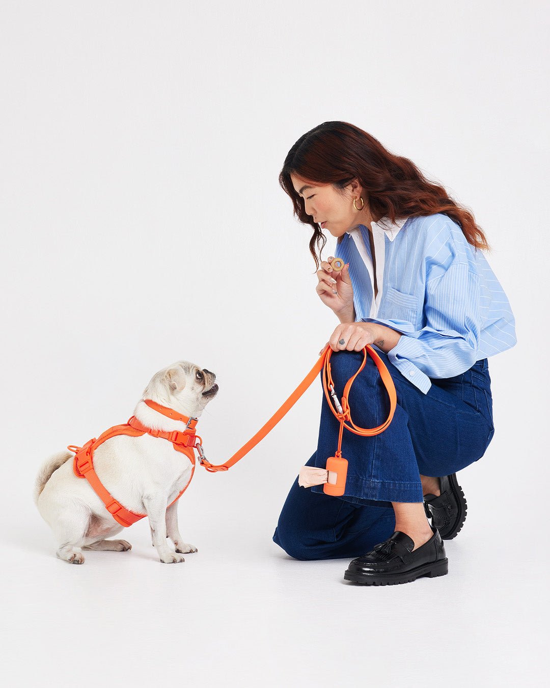 Poop Bag Carrier - Image 69