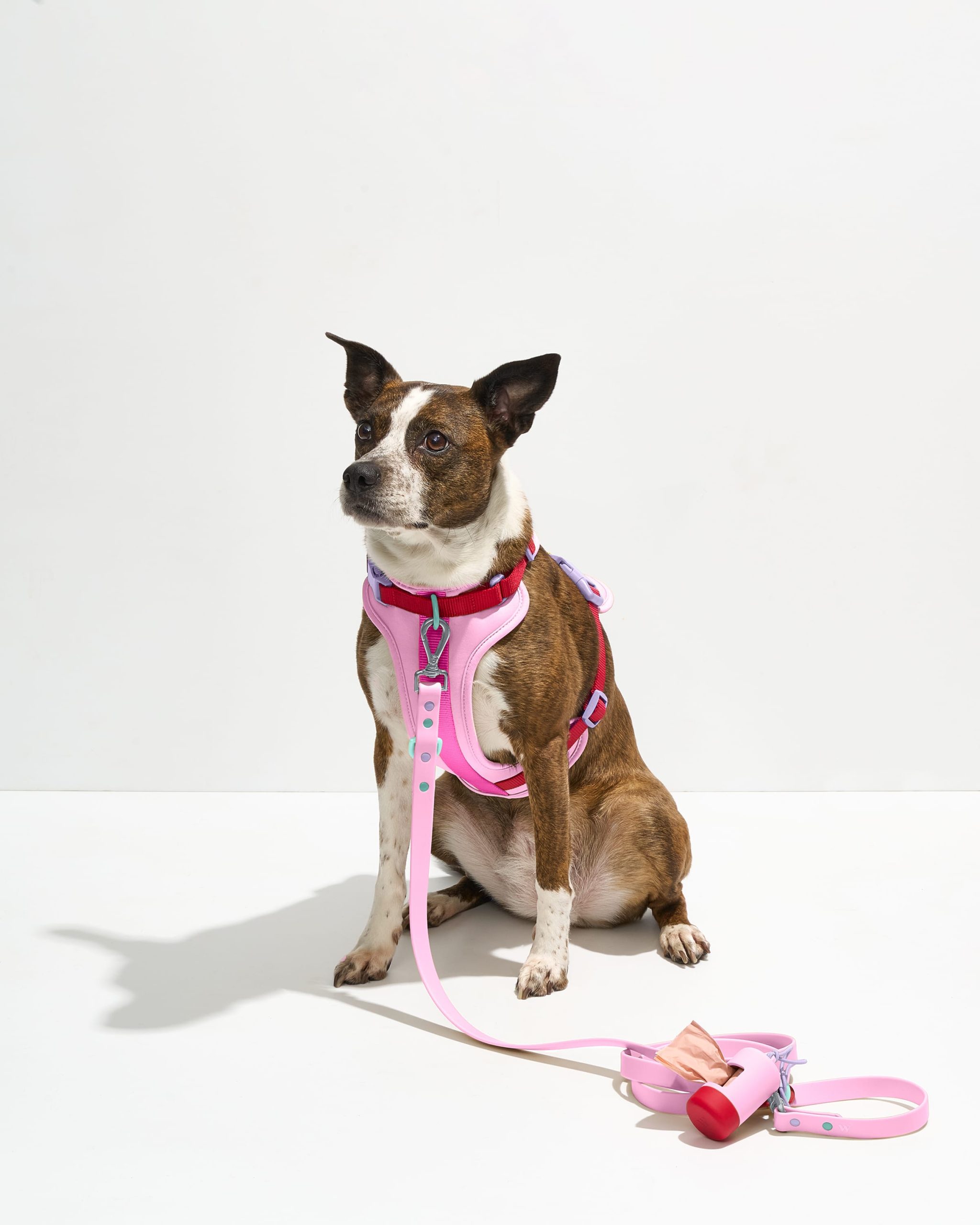 Waterproof Dog Leash - Image 2