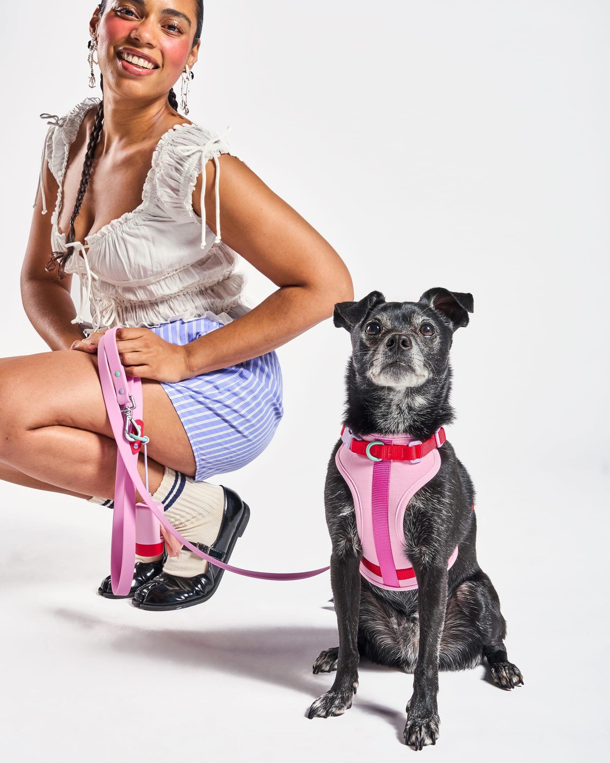 Cushioned Dog Harness - Image 4