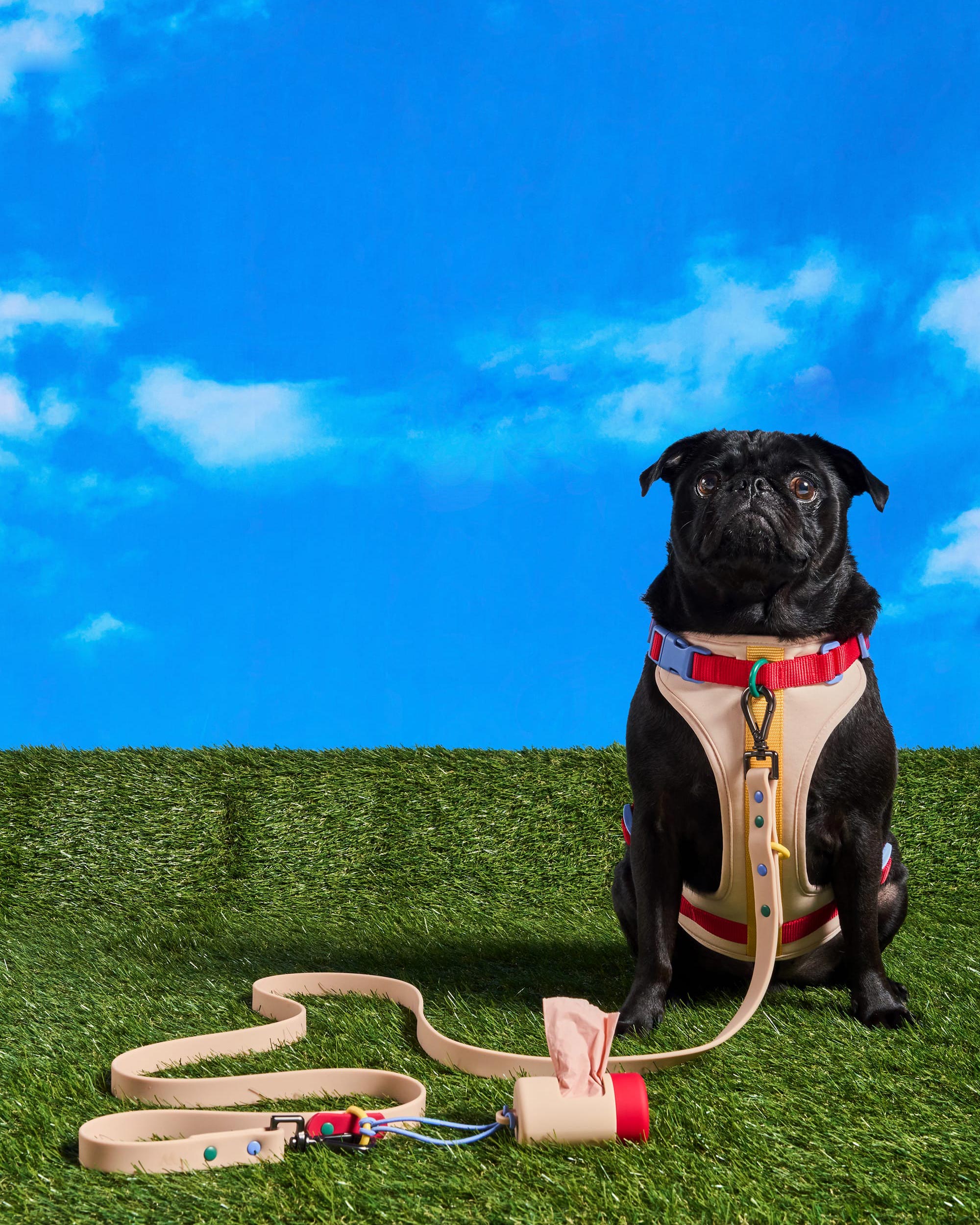 Cushioned Dog Harness - Image 12