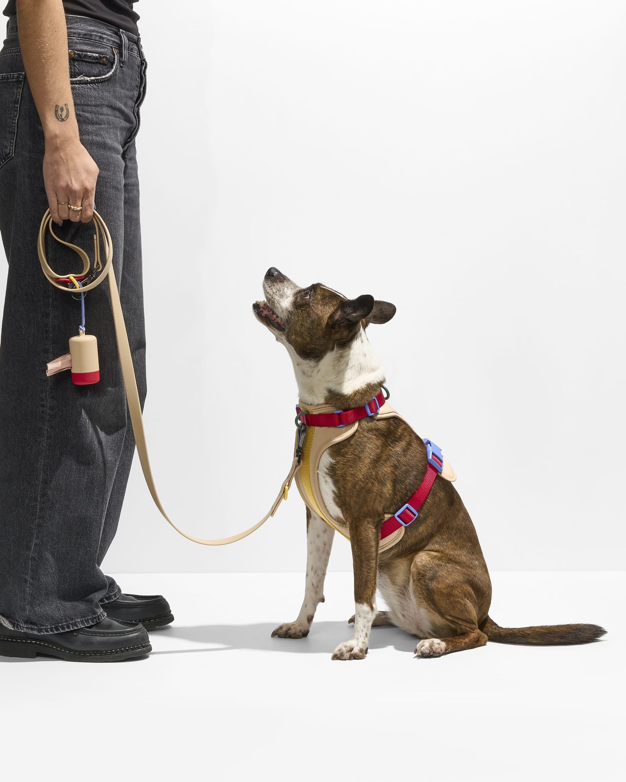 Waterproof Dog Leash - Image 77