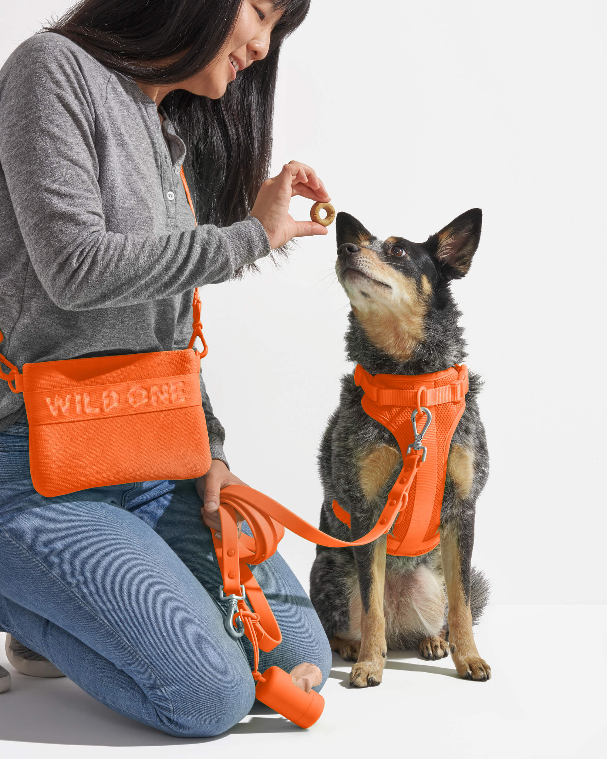 Treat Pouch - Image 47