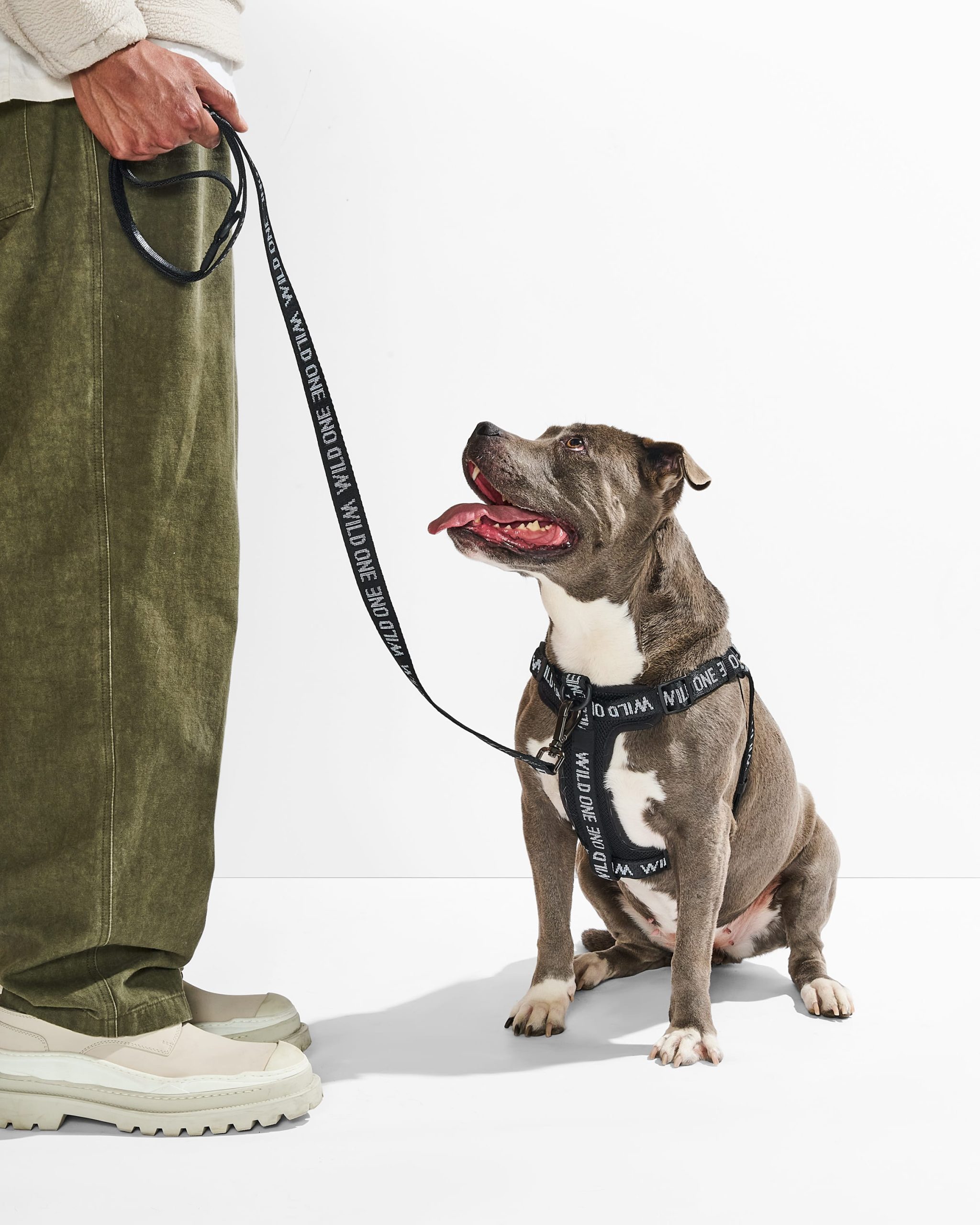 Lightweight Dog Leash - Image 17