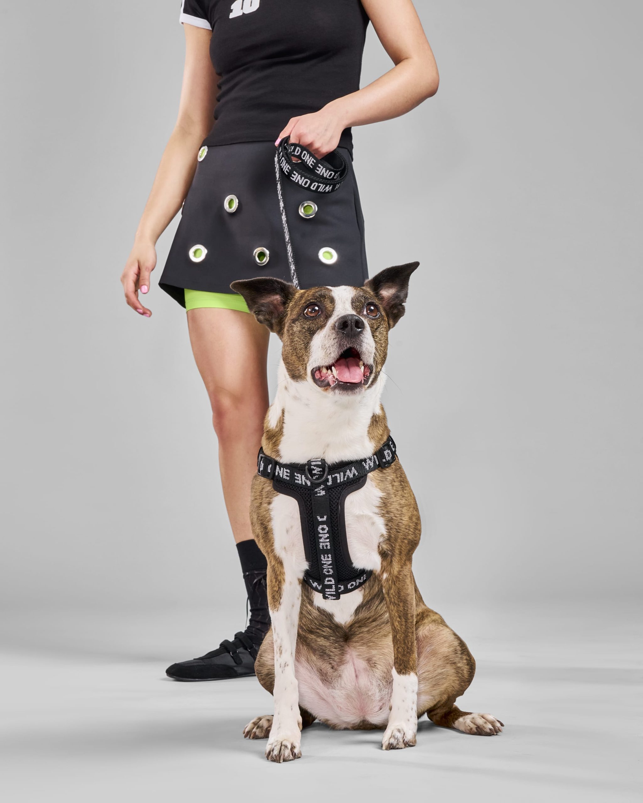 Step-In Dog Harness - Image 20
