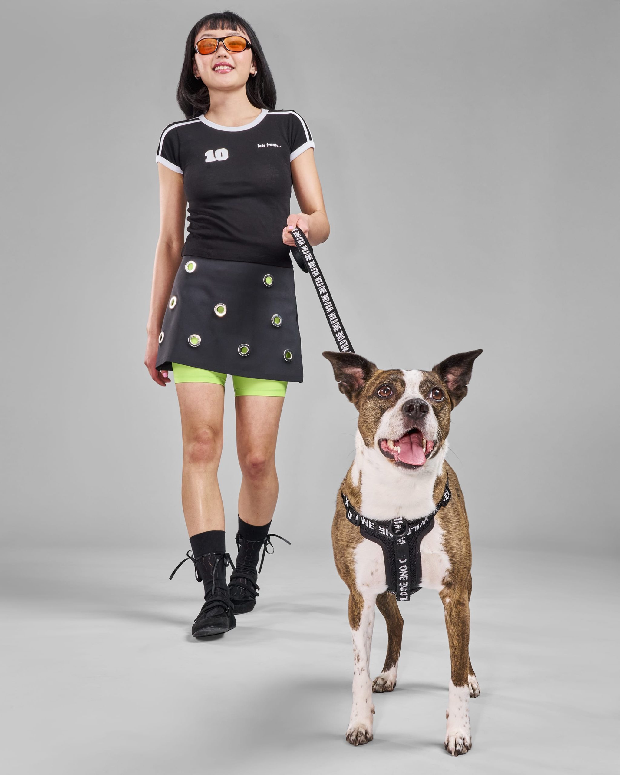 Lightweight Dog Leash - Image 18