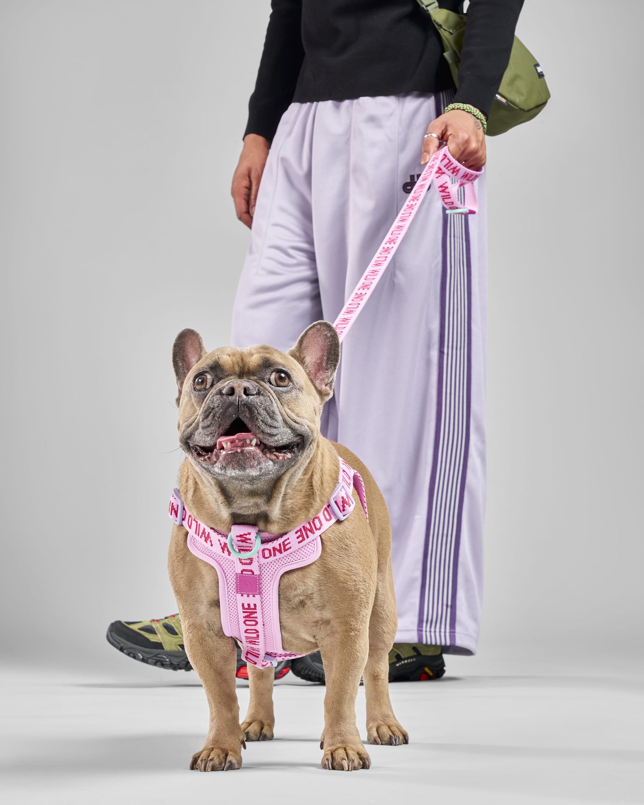 Step-In Dog Harness - Image 13