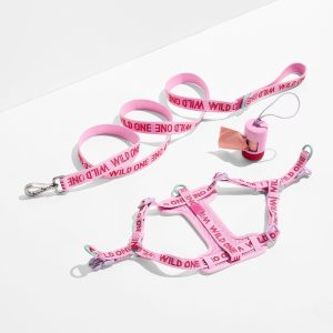 Step-In Harness + Lightweight Leash Walk Kit