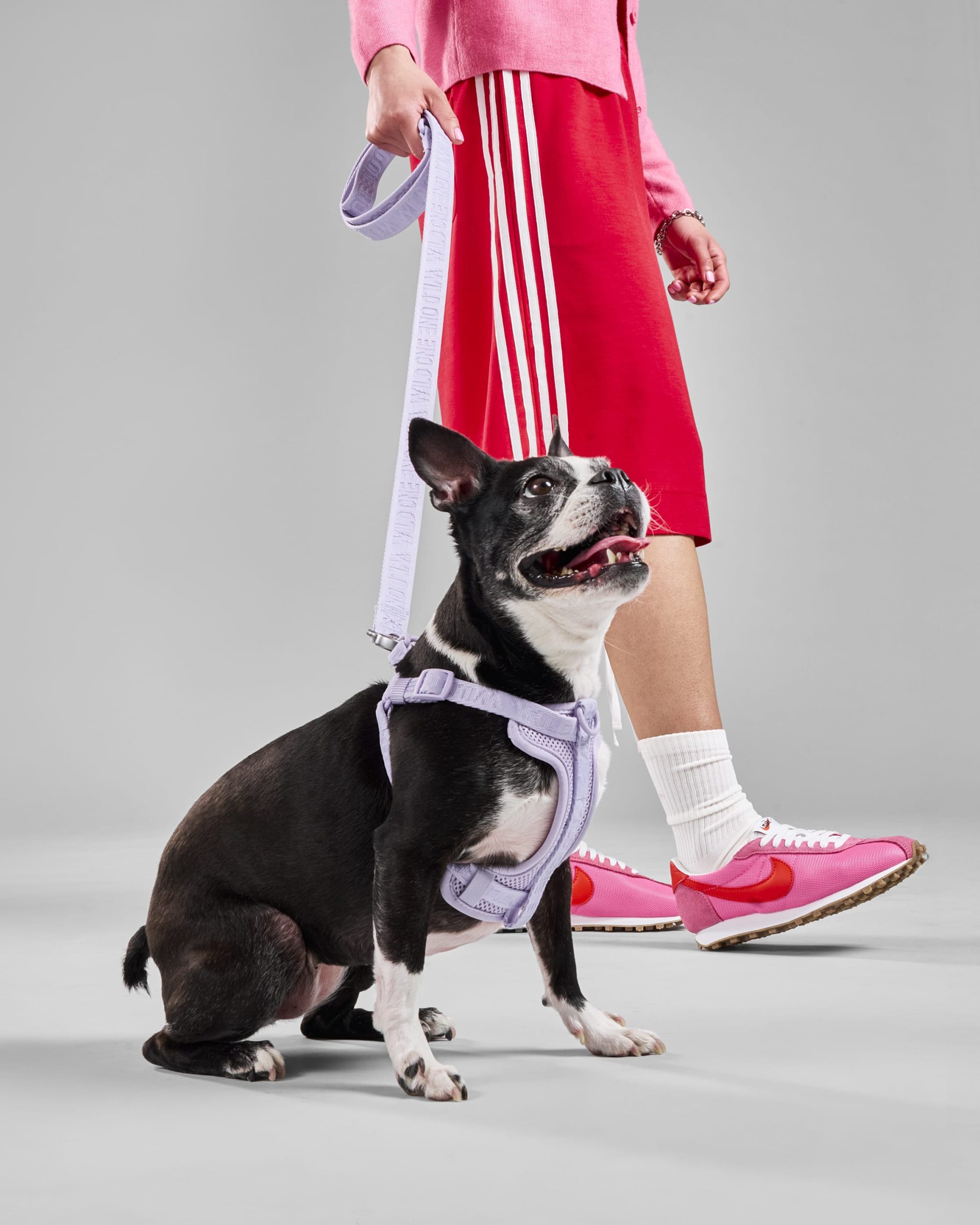Lightweight Dog Leash - Image 24