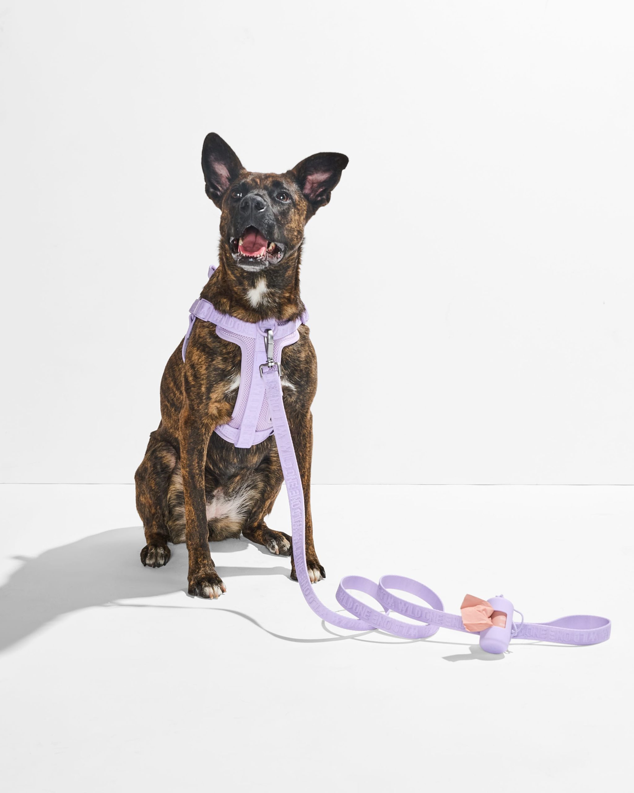 Lightweight Dog Leash - Image 21
