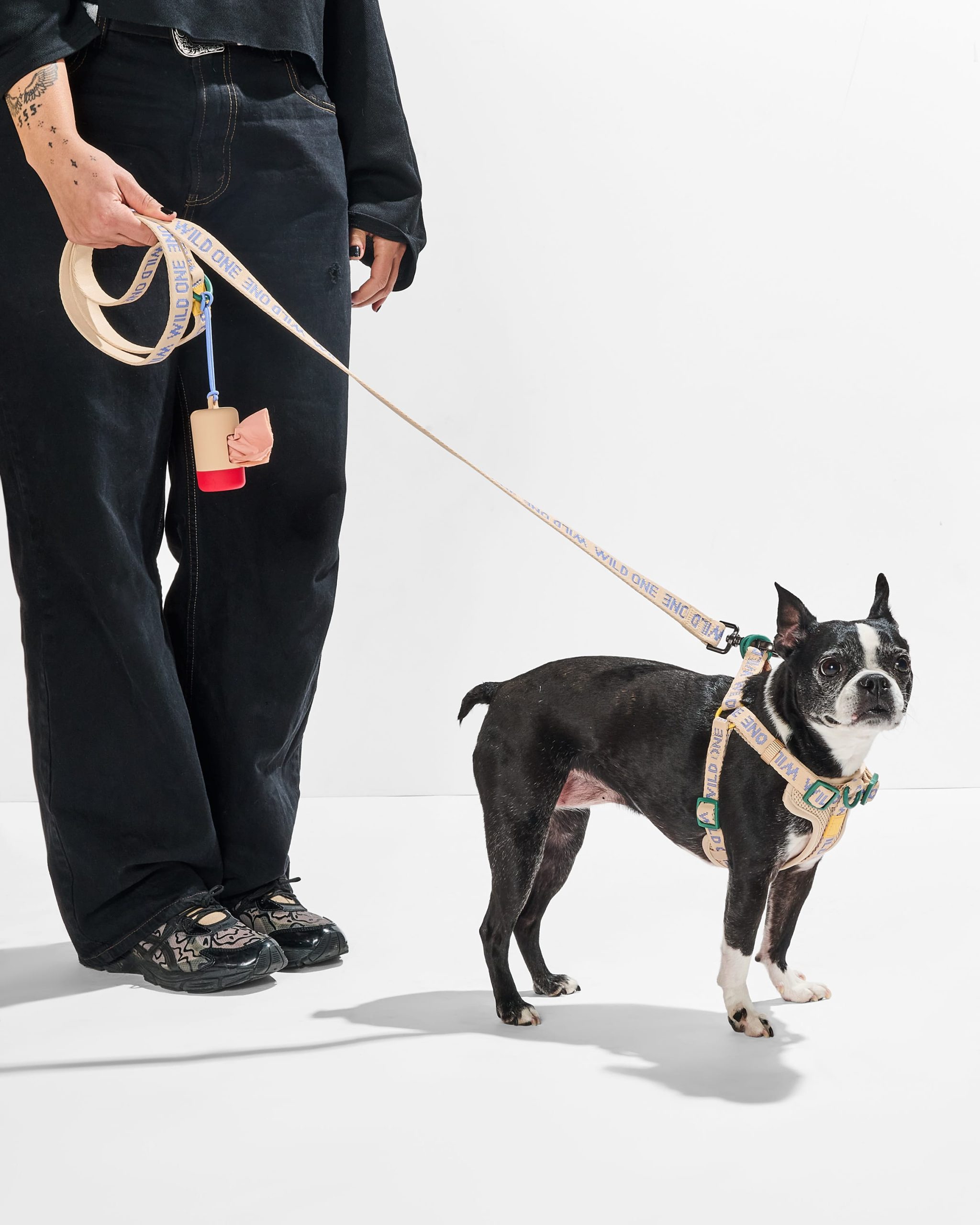 Lightweight Dog Leash - Image 5