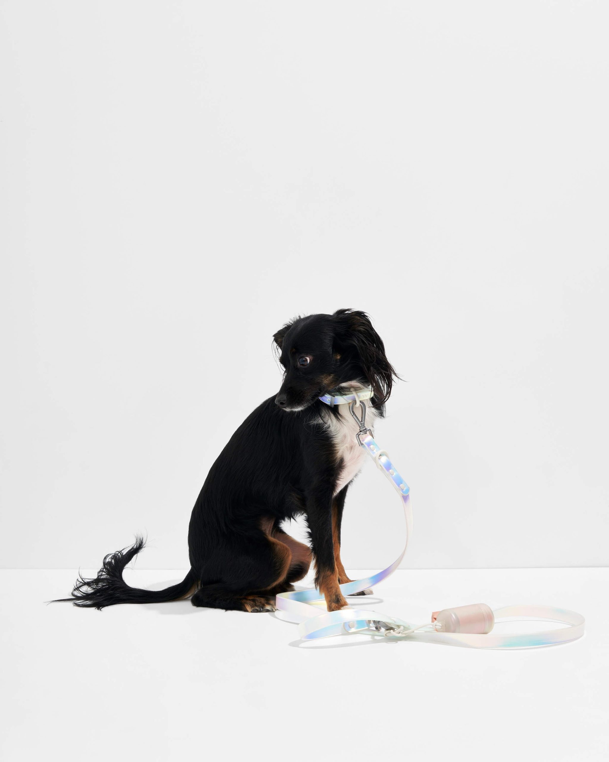 Waterproof Dog Leash - Image 12