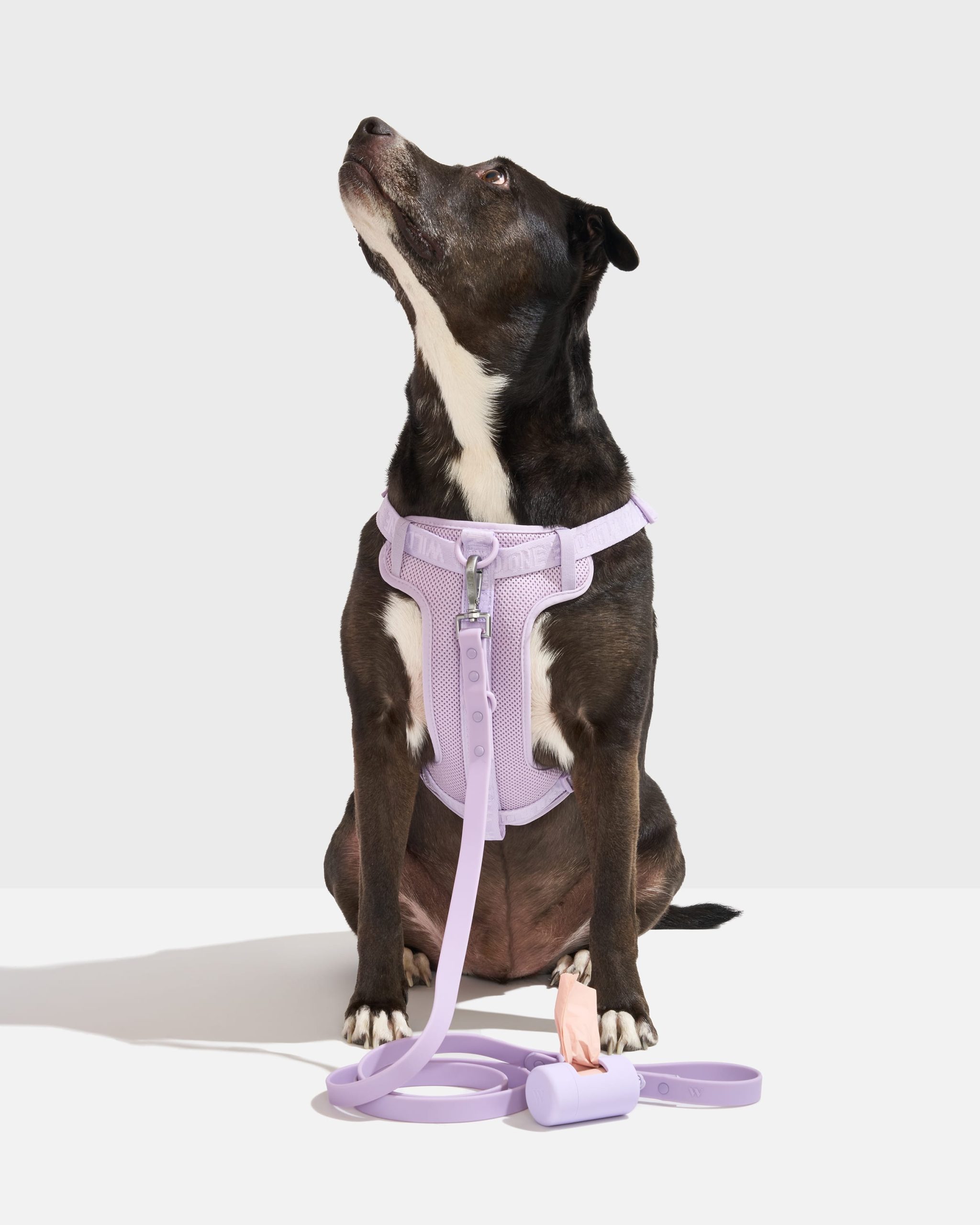 Step-In Harness + Waterproof Leash Walk Kit - Image 2