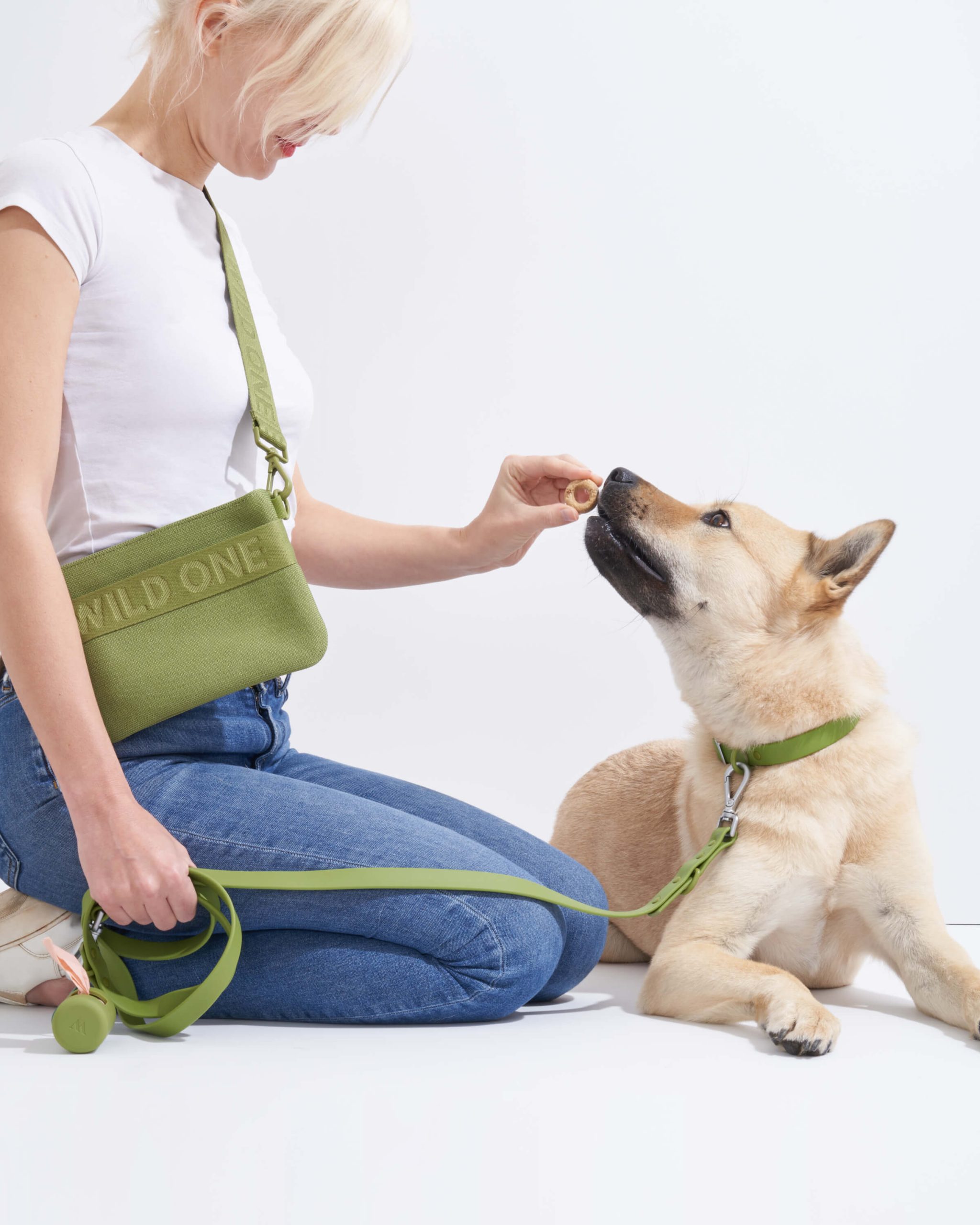 Waterproof Dog Leash - Image 10