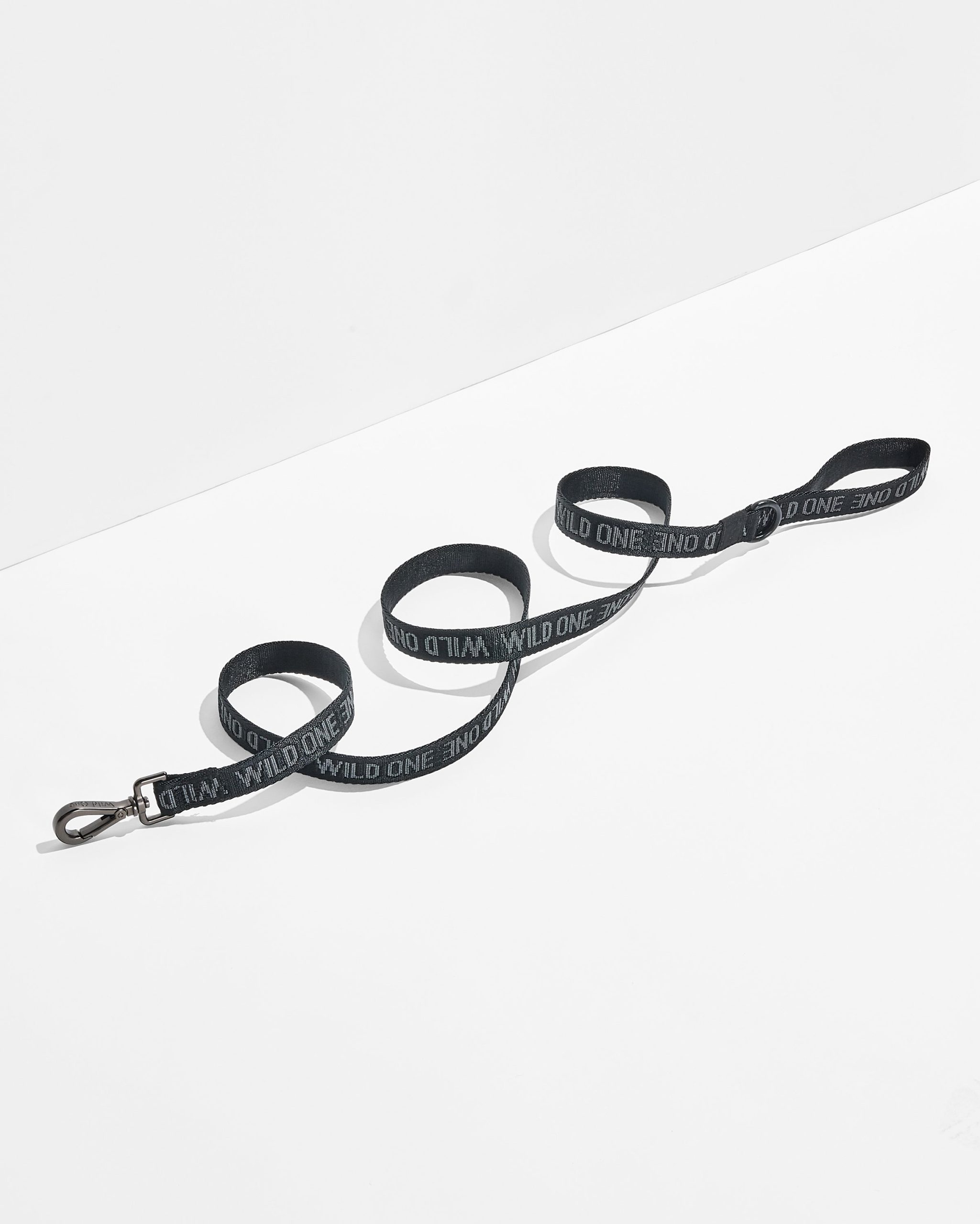 Lightweight Dog Leash - Image 13