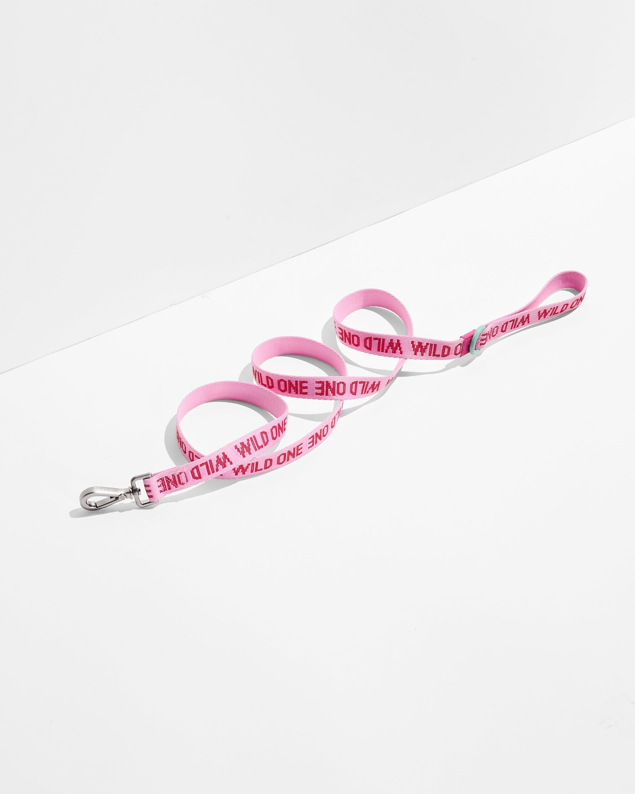 Lightweight Dog Leash - Image 7