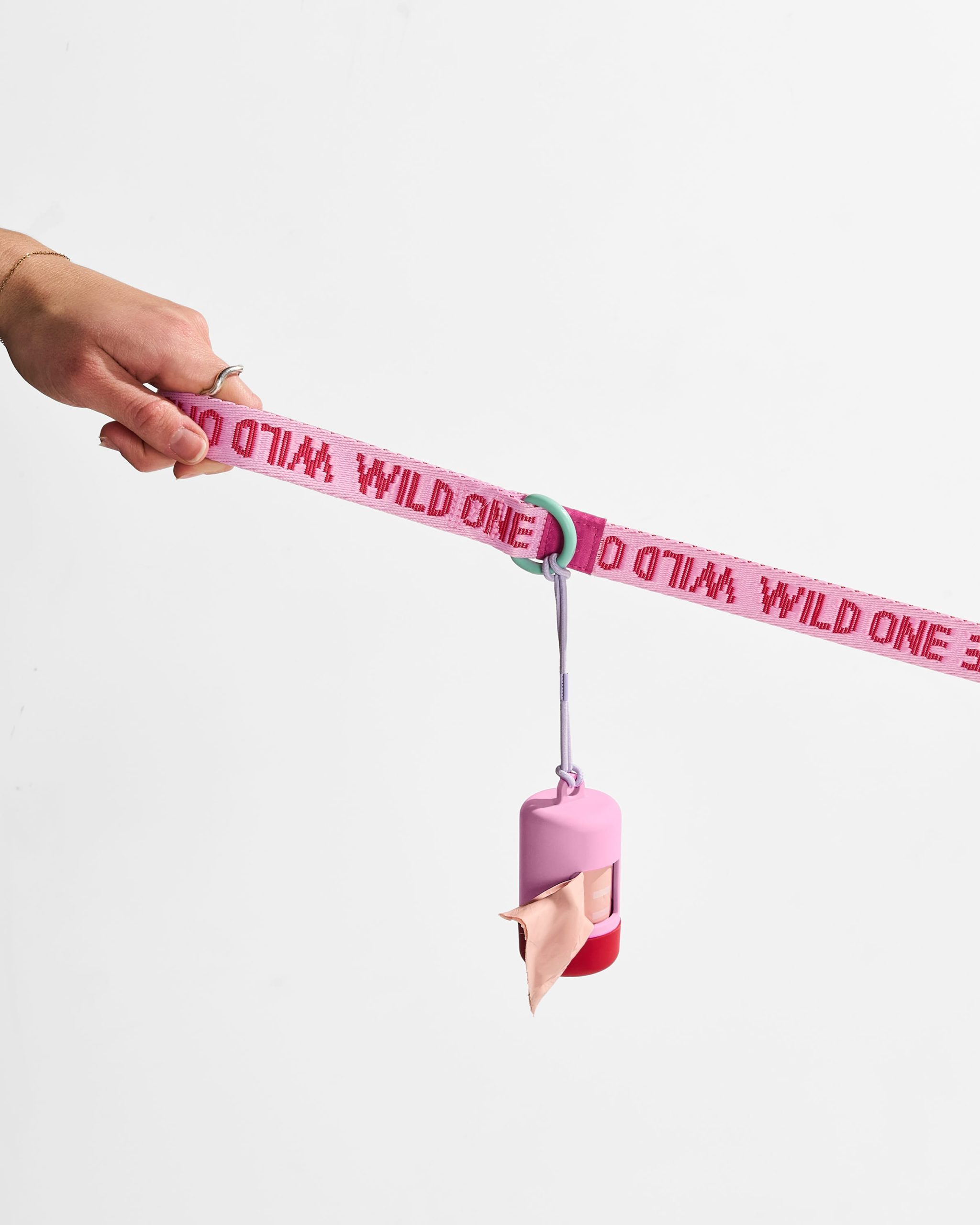 Lightweight Dog Leash - Image 8