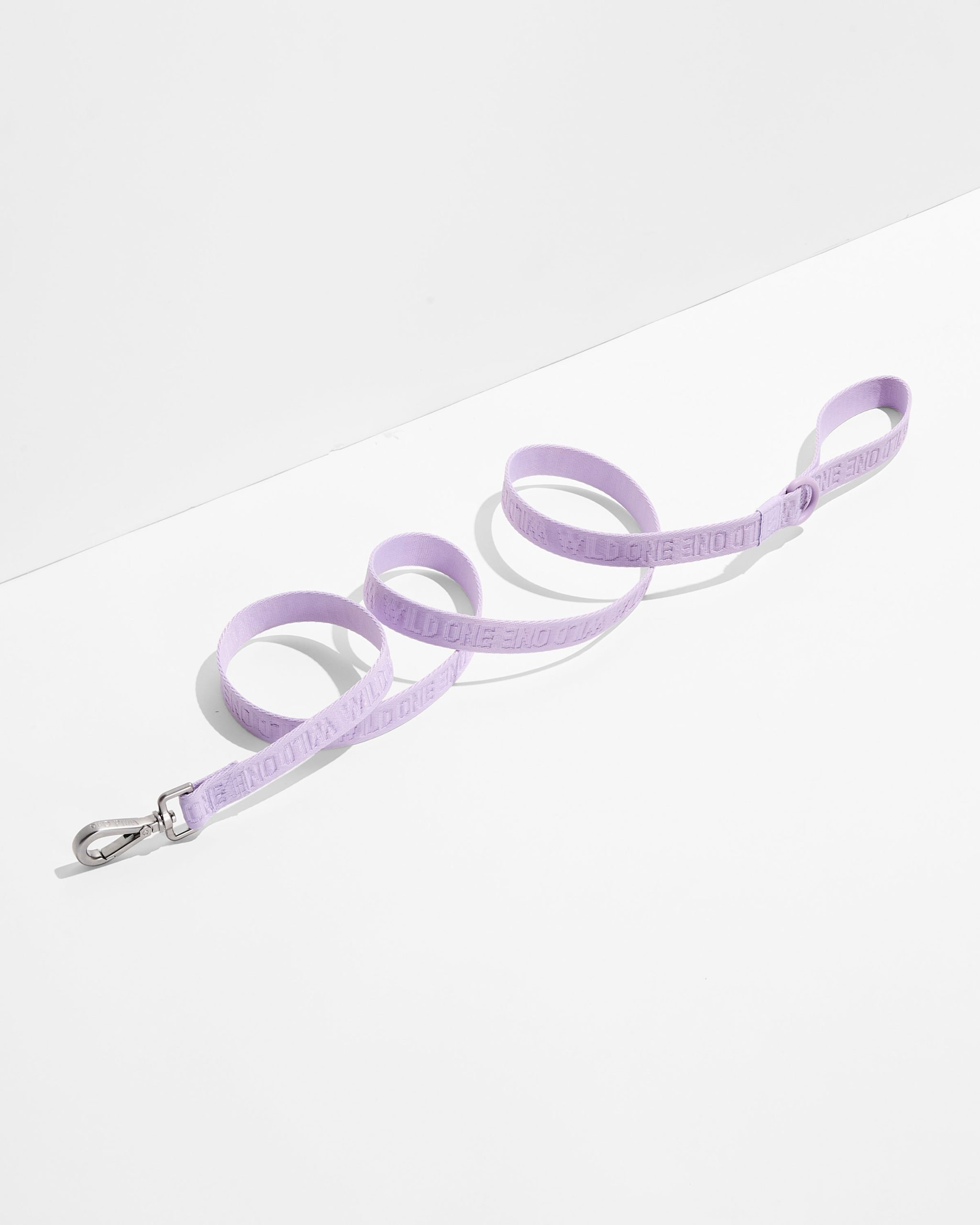 Lightweight Dog Leash - Image 19