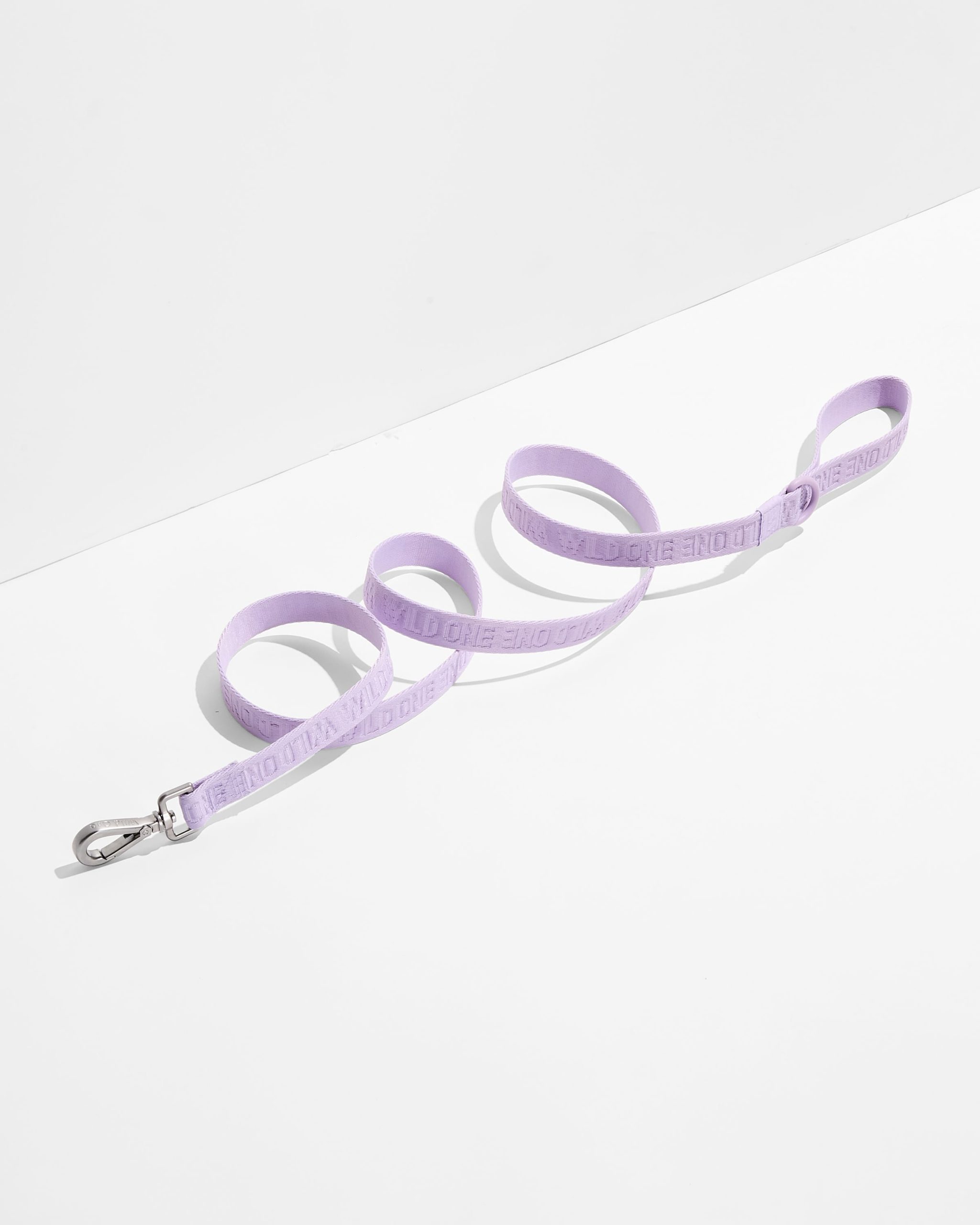Quick-Release Collar + Lightweight Leash Walk Kit - Image 3