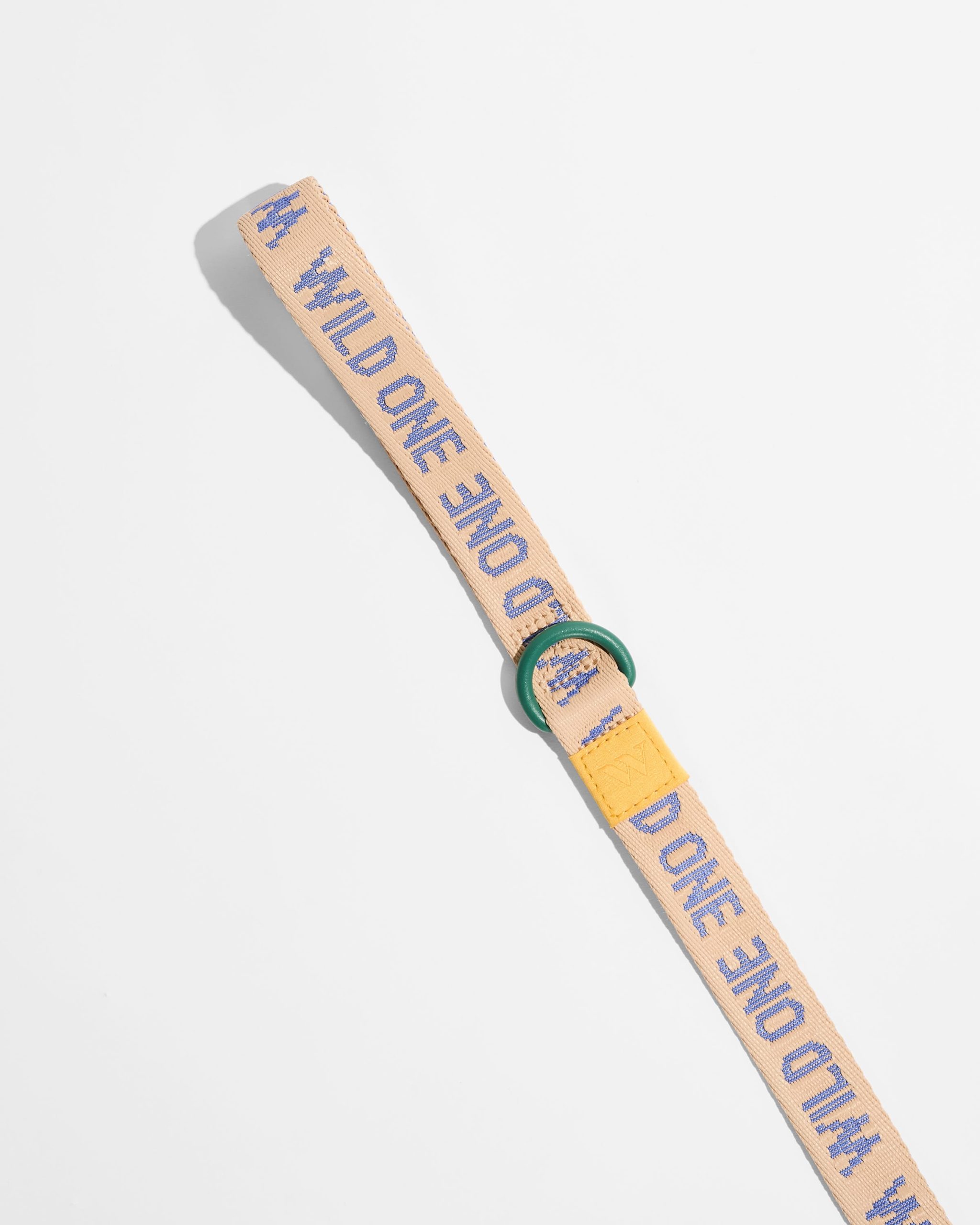 Lightweight Dog Leash - Image 4