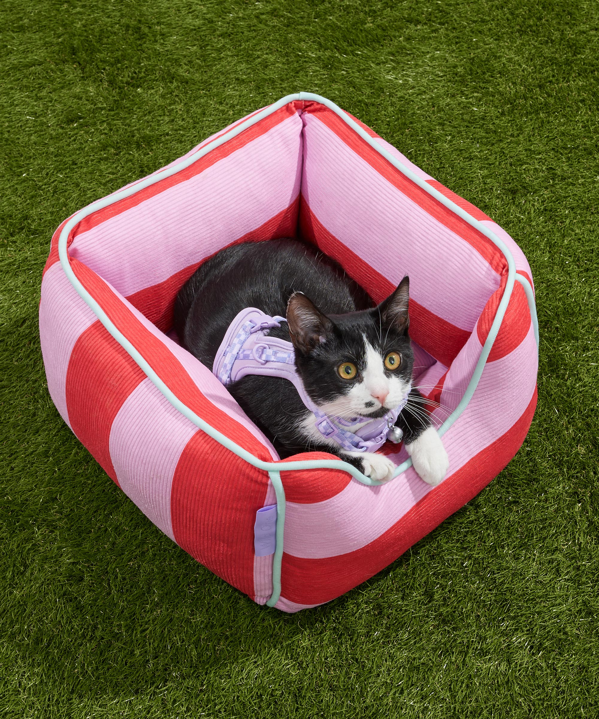 Cat Bolster Bed - Image 4