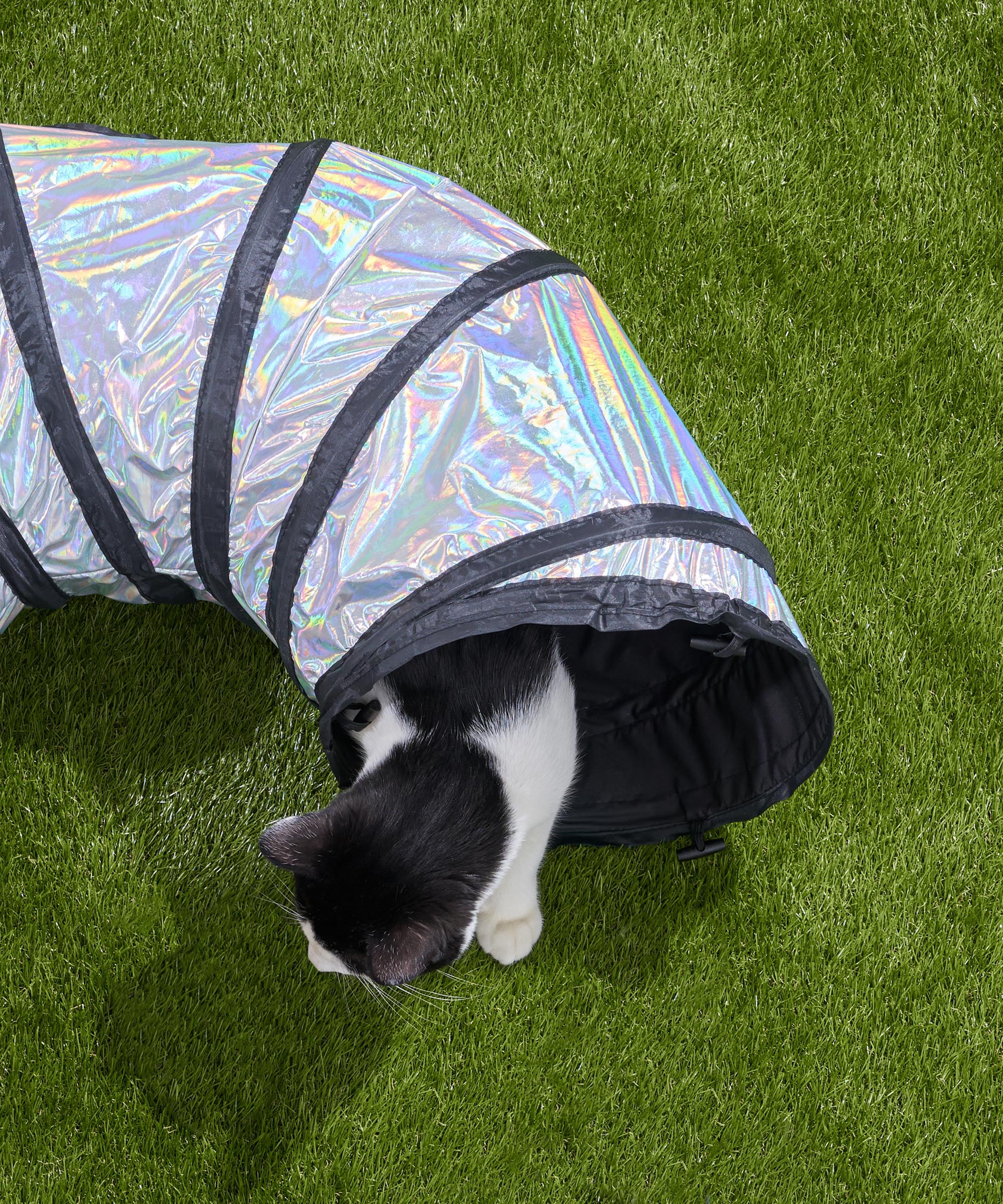 Cat Tunnel - Image 17